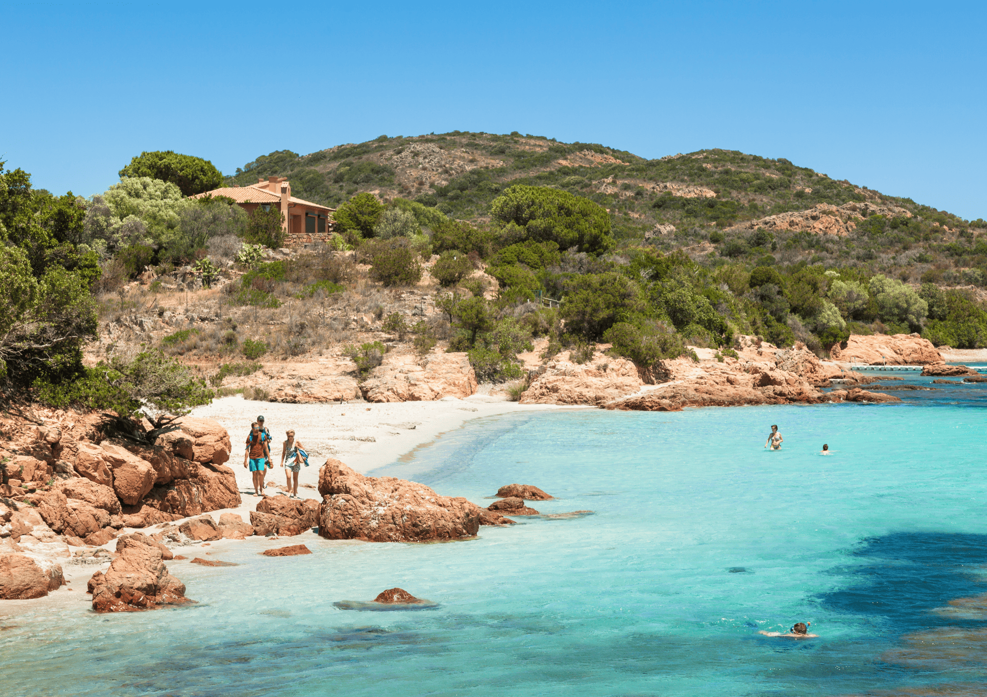 corsica (4)